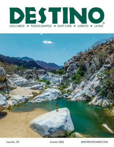 Destino Magazine | Summer 2026