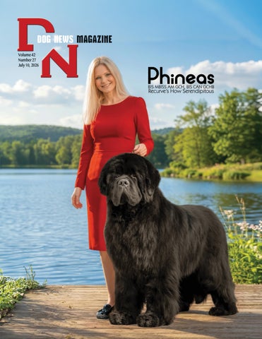 071026