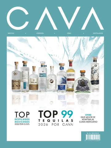 CAVA Ed. 36