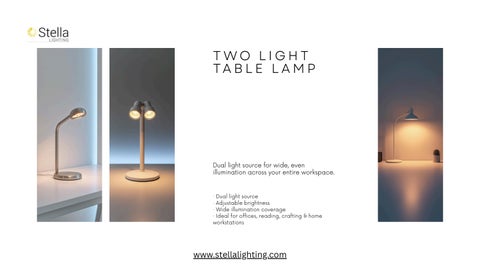 Illuminate Every Workspace with Precision | Stella 灯饰 's 高端 Two 灯饰 台灯 × Flexibl 第 4 页