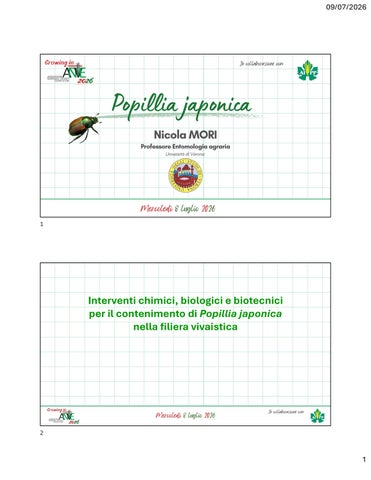 Growing in ANVE 2026: Popillia japonica - Università di Verona, Nicola Mori