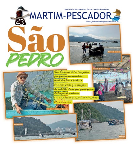 MARTIM-PESCADOR 201