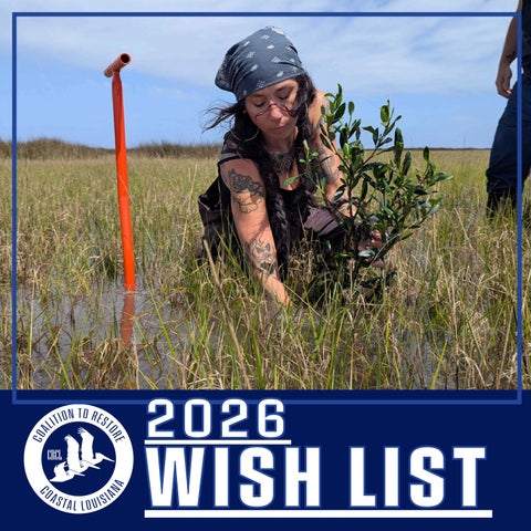 2026 CRCL Birthday Wish List