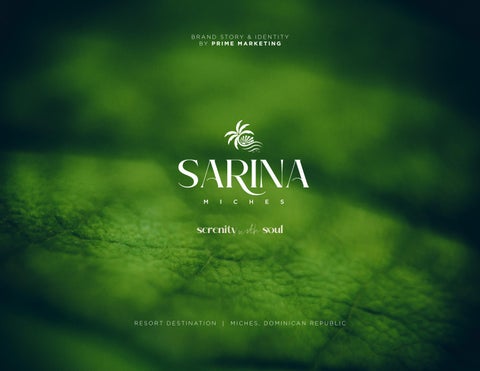Sarina Miches - A Brand Story & Identity