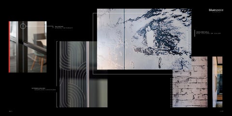Bluespace Interiors - 建筑 Walls Solutions 第 14 页