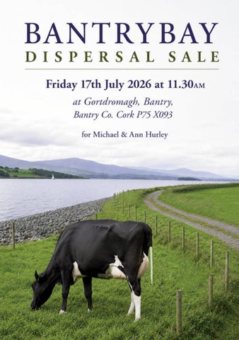 BANTRYBAY DISPERSAL