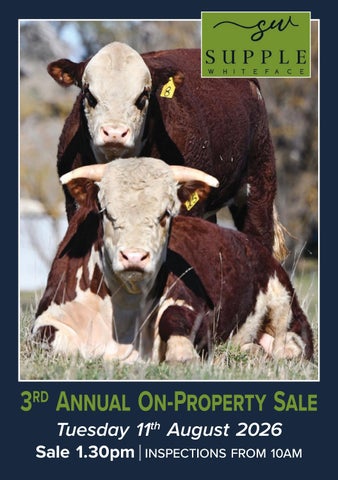 2026 Supple Whiteface Sale Catalogue