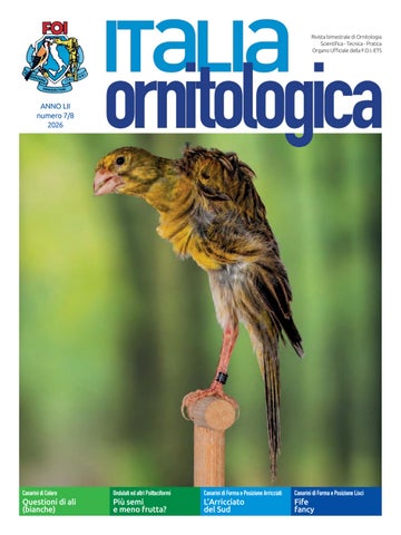 Italia Ornitologica, numero 7/8 2026