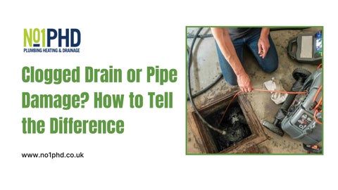 Clogged Drain or Pipe Damage How to Tell the Difference