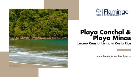 Playa Conchal and Playa Minas Luxury Real Estate in Costa Rica