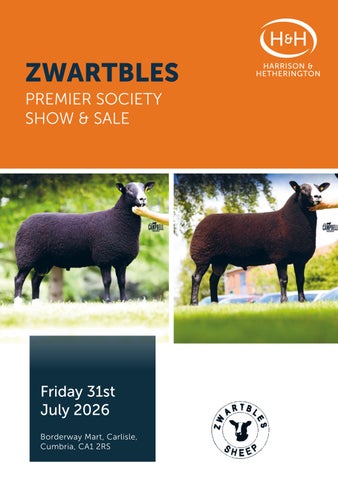 Zwartbles Premier Sale 310726