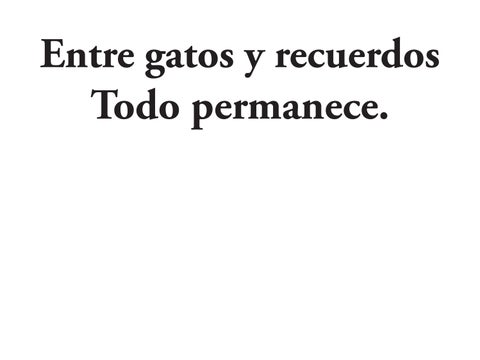 Proyecto FP4 desing