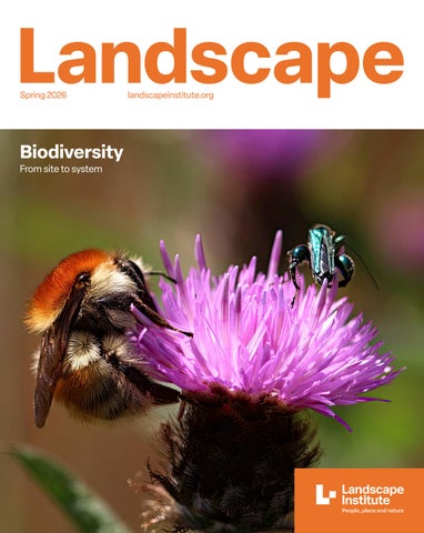 Biodiversity: From site to system