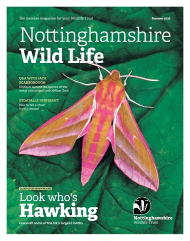 Nottinghamshire Wildlife Trust Member Magazine Summer 2026