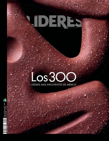 LM495 Julio Los 300