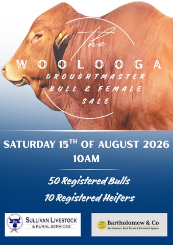 2026 Woolooga Bull & Female Sale Catalogue