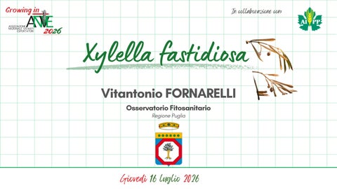 Growing in ANVE 2026: Xylella fastidiosa  - Vitantonio Fornarelli