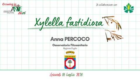Growing in ANVE 2026: Xylella fastidiosa  - Anna Percoco