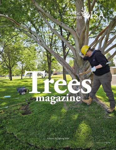 2026 Spring TREES Magazine_Final