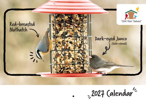 2027 WBU Calendar
