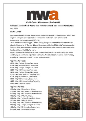 NWA NEWSLETTER 170726