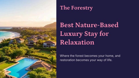 The Forestry Best Nature-Based Luxury Stay for Relaxation