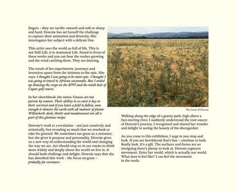 Kate Downie | Grasslands 第 11 页