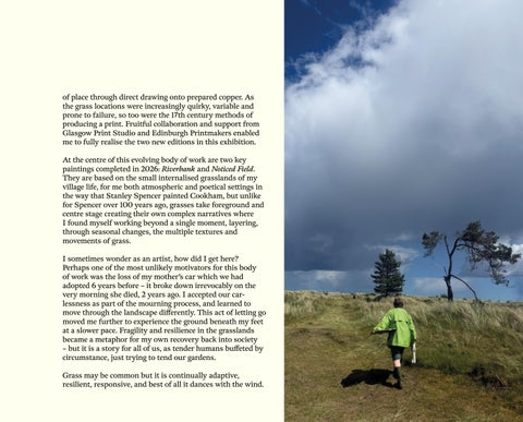 Kate Downie | Grasslands 第 13 页