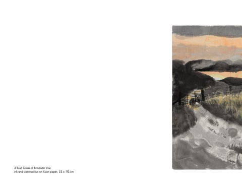 Kate Downie | Grasslands 第 18 页