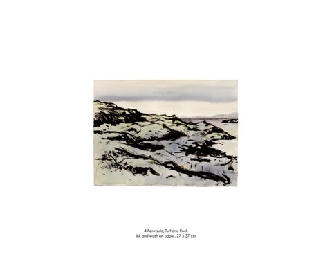 Kate Downie | Grasslands 第 20 页