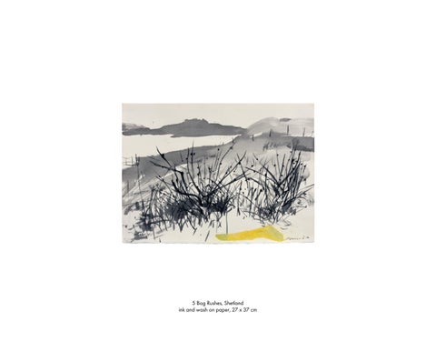 Kate Downie | Grasslands 第 21 页