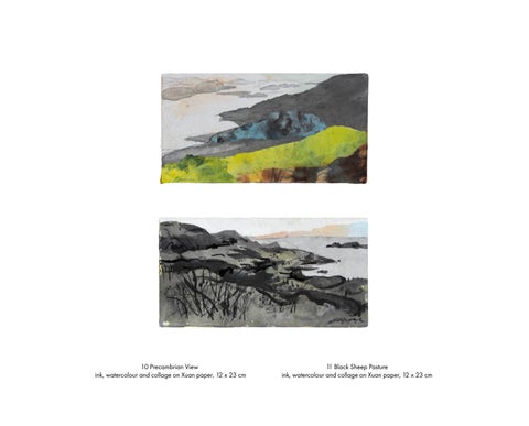 Kate Downie | Grasslands 第 24 页