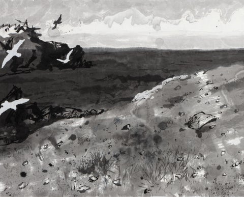 Kate Downie | Grasslands 第 2 页