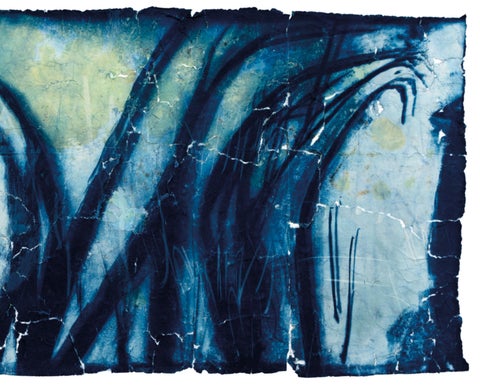 Kate Downie | Grasslands 第 4 页