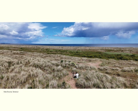 Kate Downie | Grasslands 第 6 页