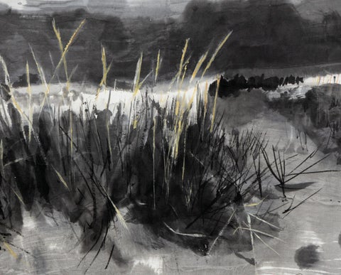 Kate Downie | Grasslands 第 8 页