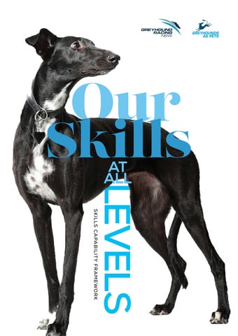Skills Capability Framework -GRNSW