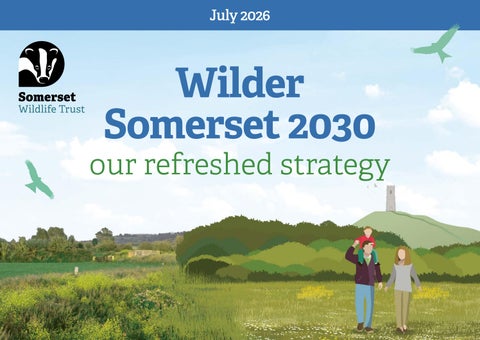 Somerset Wildlife Trust's Strategy Refresh 2026