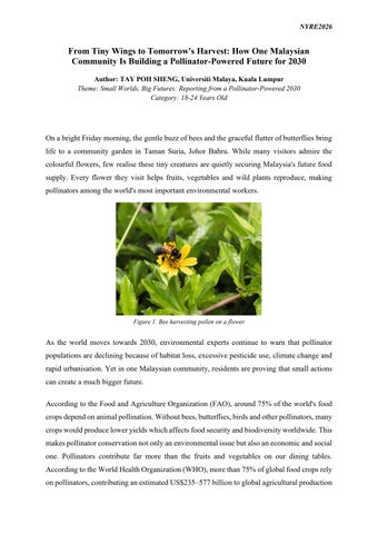 NYRE2026_Written Article_TAY POH SHENG
