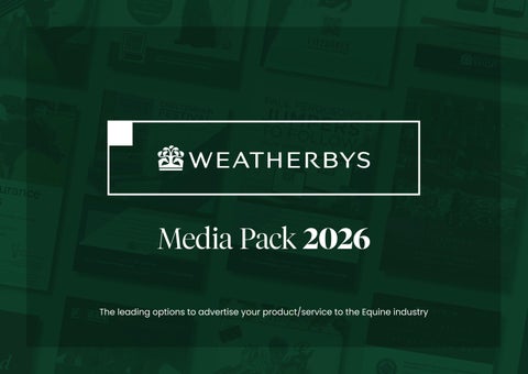 6 Media Pack 2026