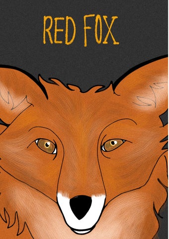 livro 2