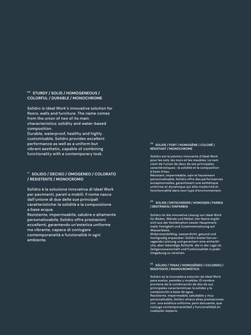 Solidro 第 2 页