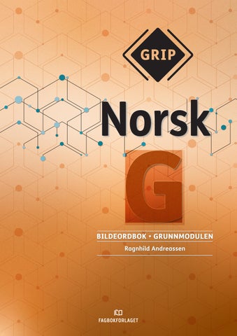 GRIP norsk bildeordbok BM (9788211049582)