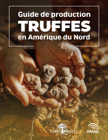 PECHA001_Truffes feuilletage