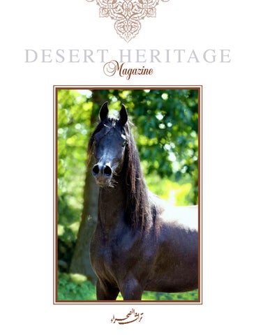 Desert Heritage n.73