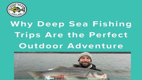 Why Deep Sea Fishing Trips Are the Perfect Outdoor Adventure