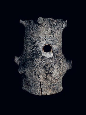Des milieux urbains semi-naturels 第 7 页
