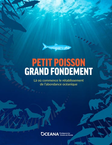 Petit Poisson, Grand Fondement