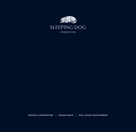 Sleeping Dog - Our Approach