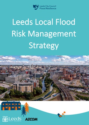 DRAFT Flood Risk Management Strategy July 2026